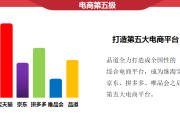 正规电商平台有哪些(社交电商平台有哪些)