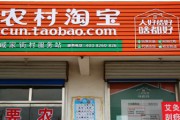 农村电商服务站(农村电商服务站运营方案)