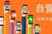 电商与微商的区别(微商和电商有什么区别?)