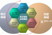 怎么开电商(什么是电商怎样开电商)