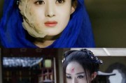 黑莲花什么意思(黑莲花什么意思形容人)
