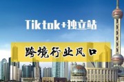 跨境电商运营软件培训
:Tiktok跨境电商培训学习，跨境卖家的出海赛道