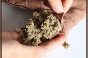 艾叶怎么自制艾绒视频(怎样在家自制艾绒视频)