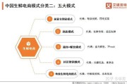 电商的运营模式(电商的运营模式有几种)