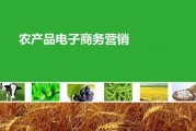 农业电商(农业电商)