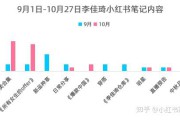 双十一小红书的营销策略(小红书4p营销策略)