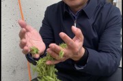 学做电商需要什么条件
:想学习电商行业，需要具备什么条件，怎么从0开始？