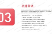 小红书营销平台(小红书谈营销虚假产品)