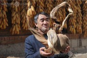 根雕制做教学视频(根雕制作方法 教学 视频)
