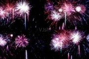 礼花短视频(礼花视频播放 视频)
