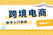 怎样做跨境电商(海外电商怎么做)