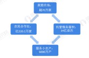 农村电商发展现状(红河州农村电商发展现状)