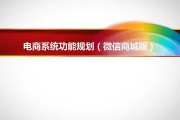微商城电商系统开发商(微商城系统开发)