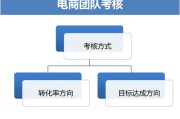 淘宝电商运营(淘宝电商运营基础知识)