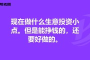 做什么生意投资小利润高(什么生意投资小回本快)