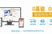 对电商的看法(对电商的看法英语作文)