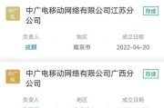 电运营商(光伏发电运营商)