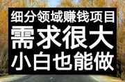赚钱小项目(好的赚钱项目)