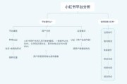 小红书营销模式的优点(小红书的营销模式PPT)