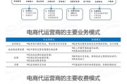 电商带运营公司(广州电商运营公司排行榜)