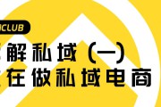 私域电商(自己一个人怎么做电商)