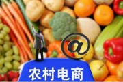电商零售(网易考拉属于平台型跨境电商零售)
