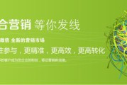 微信营销成(微信营销成功案例ppt)