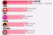 各大电商平台的优缺点(国内电商平台各自优势和缺点)