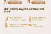 一磅是多少斤(蛋糕一磅是多少斤)