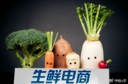 生鲜电商平台有哪些(大的生鲜电商平台有哪些)