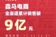 森马电商(森马电商是做什么的)