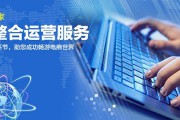 网络运营与推广(网络平台推广)
