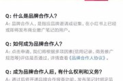 品牌小红书推广(品牌入驻小红书推广)