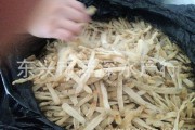 炒沙虫干的做法视频(炒沙虫干的做法大全窍门)