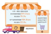2016农村电商示范县(2016年电子商务进农村综合示范县)
