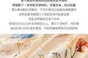 连衣裙文案(蕾丝连衣裙文案)