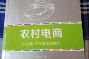 农村电商案例(成功的农村电商案例)