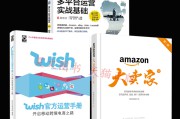跨境电商wish平台(跨境电商wish平台介绍)