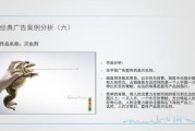 广告案例分析(广告案例分析)