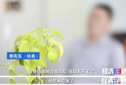 新创电商手工活正规吗(新创电商是正规平台吗)