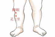 足三里怎么找(三阴焦和足三里怎么找)