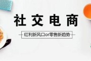 微商电商什么商(什么是电商和微商)