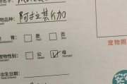 爽约是什么意思(视为爽约是什么意思)