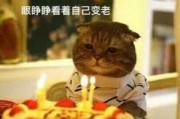生日表情包(生日表情包搞笑图片)