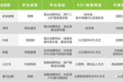 视频kol营销(KOL营销有哪些技巧)