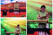 独弦琴制作方法视频(手工独弦琴制作视频)
