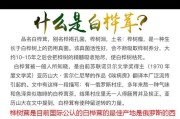 白桦茸的功效(白桦茸的功效与作用)