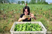 什么是直播电商
:有人说农产品更适合通过直播电商销售，是这样吗？如果是，原因是什么？