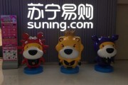 苏宁易购服务电话(苏宁易购维修服务网点)