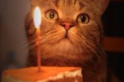 生日快乐表情包(生日快乐表情包老年人)